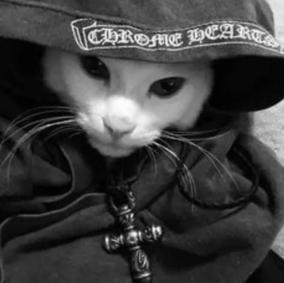 Chrome Cat Hoodie